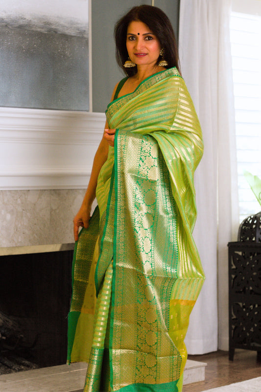 Dewy Green Banarasi Handloom Tissue Saree with Gold Stripes & Zari Border
